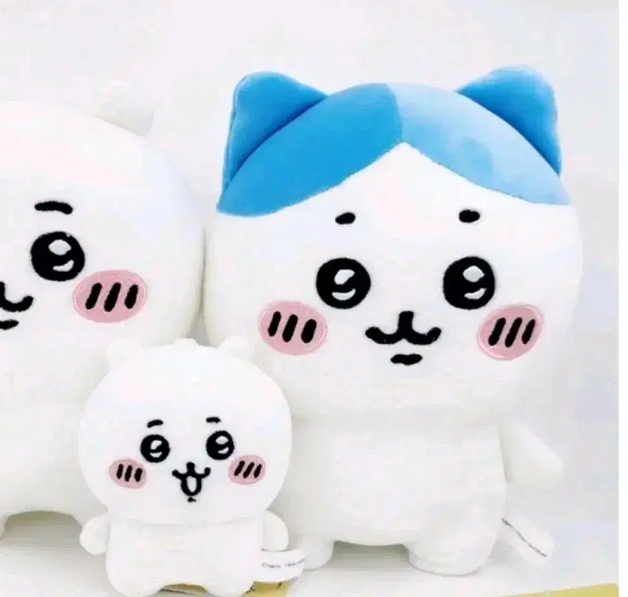 정품 먼작귀 치이카와 하치와레 13cm 25cm 10cm 인형 키링 고리